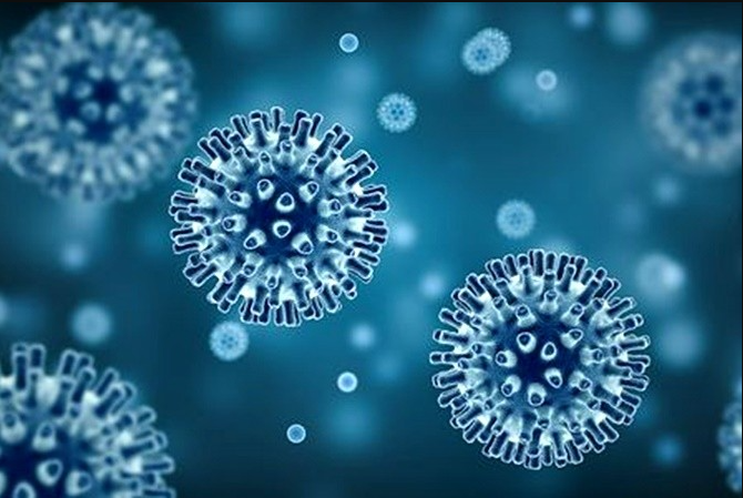 Tips Menghindari Penyakit Hepatitis